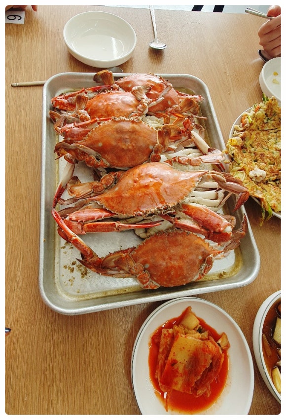 윤가 이미지