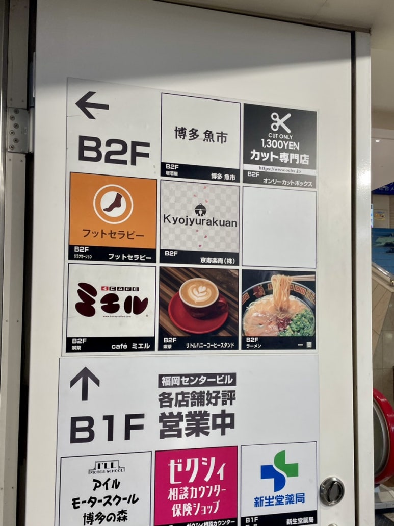 서라영 이미지