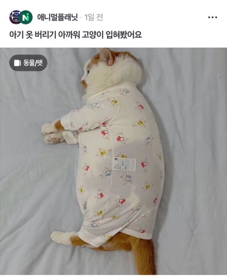 그래도 사랑해 이미지