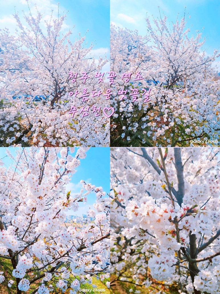 주성베이커리 이미지
