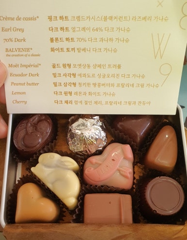 루피쉬스튜디오 이미지