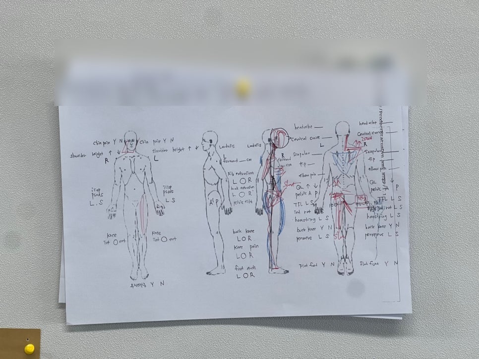 석현정바디케어센터 이미지