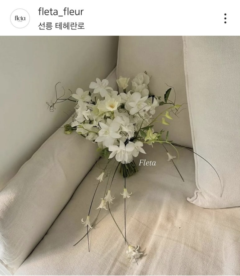 플레타플레르 이미지