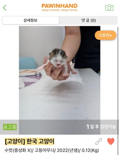 임**-1 이미지