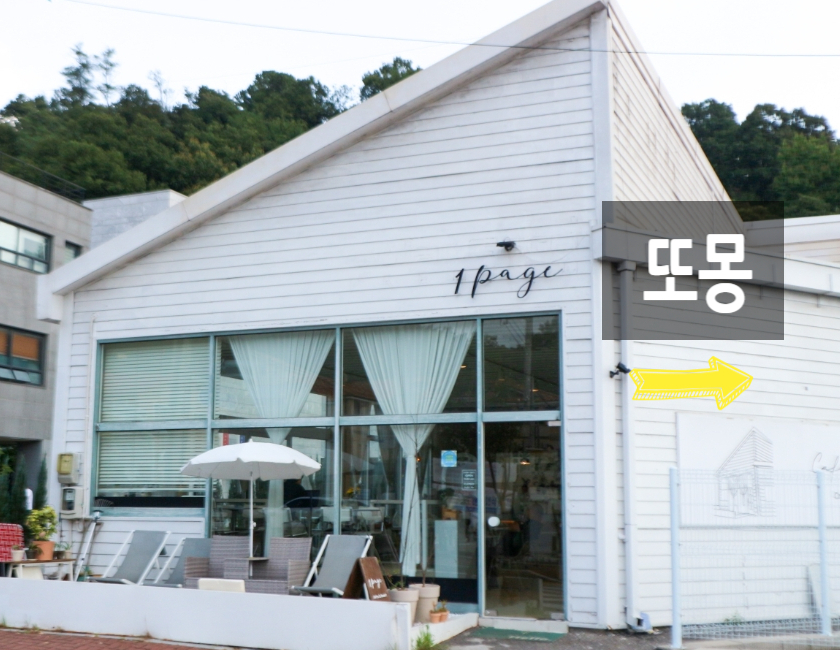 과천 말티즈 미용 & 스파, 또몽에서 특별한 경험 — 사진 3