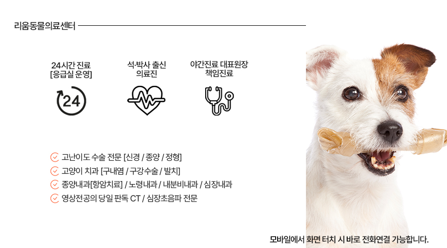 요크셔테리어 전십자인대 파열 TPLO 수술 비용 및 회복 과정 — 사진 10