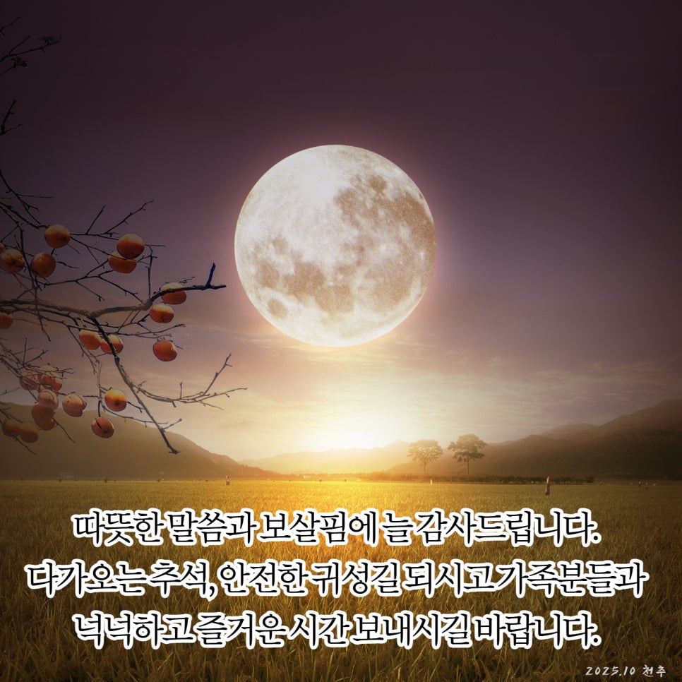 2025 추석 명절 인사말 무료 이미지 모음 "안부 문자 및 모바일 및 카카오톡 무료 다운로드 해서 쓰세요!" 이미지 9