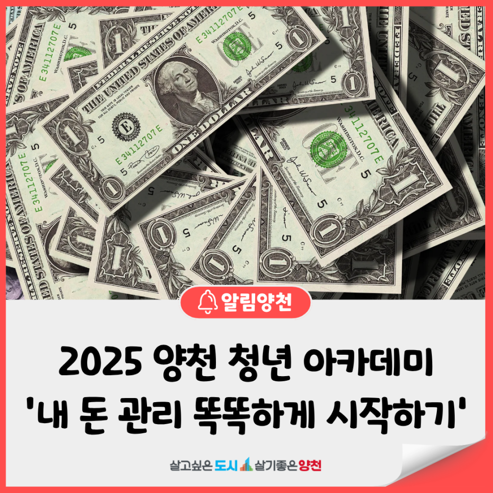 브로콜리 지역정보 관련 사진 2