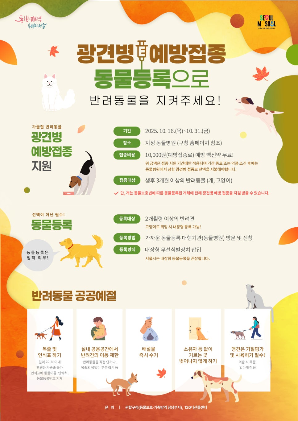 브로콜리 지역정보 관련 사진 1