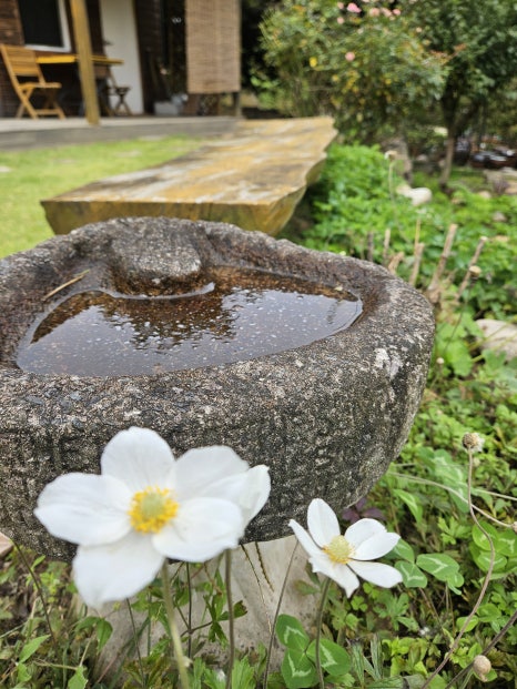 매리앤스가든 이미지