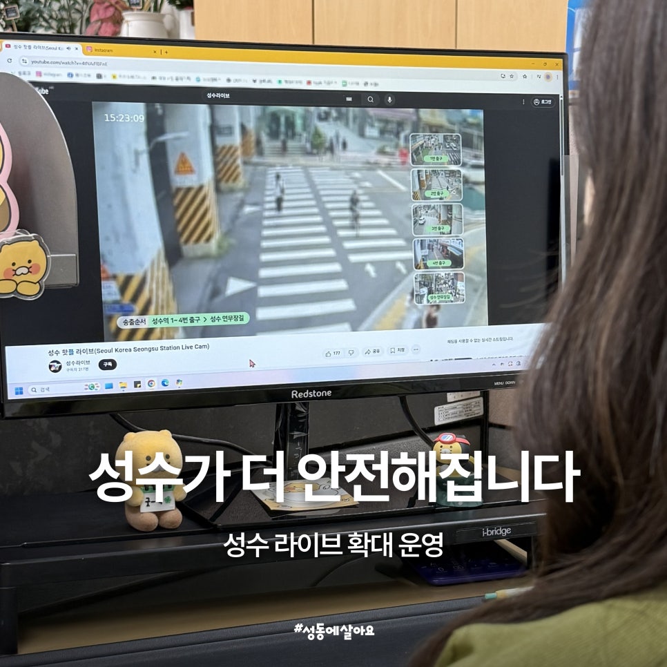 브로콜리 지역정보 관련 사진 1