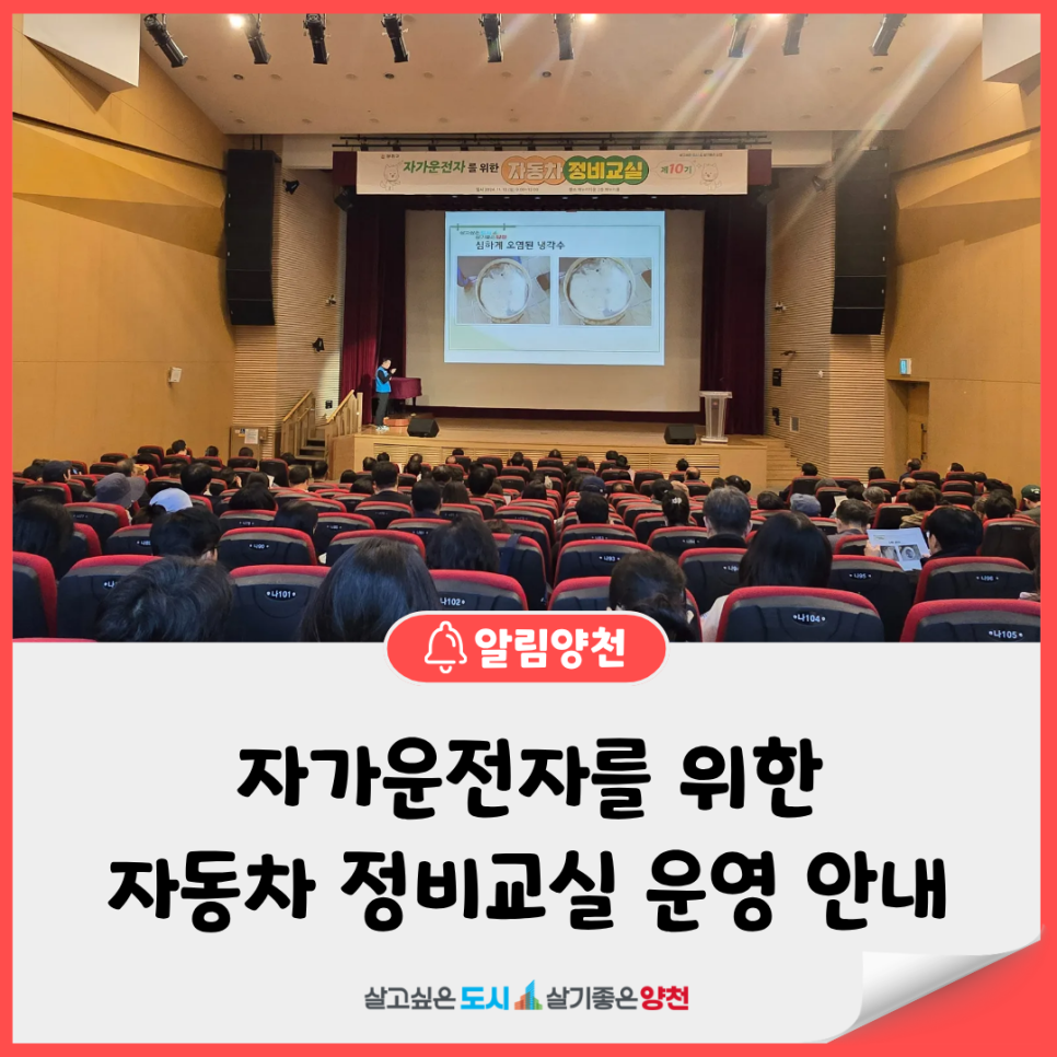 브로콜리 지역정보 관련 사진 4