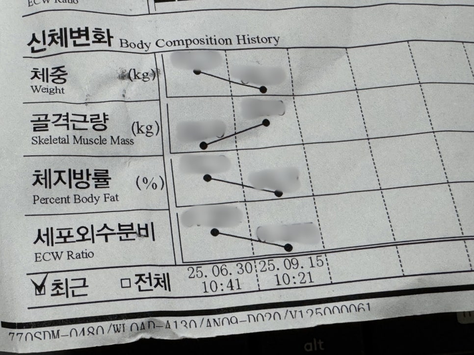 브로콜리 지역정보 관련 사진 10