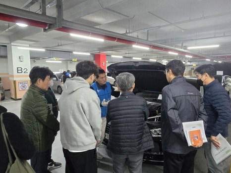 브로콜리 지역정보 관련 사진 3