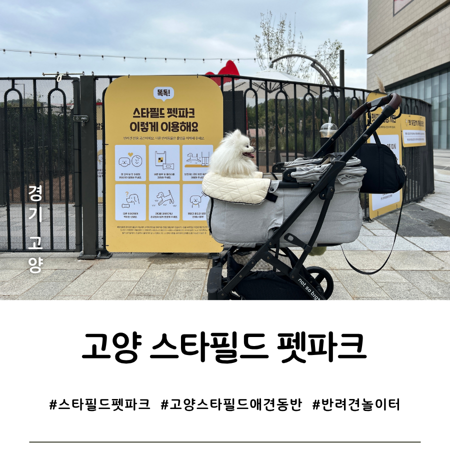 고양 스타필드 펫파크: 천연잔디 놀이터 이용 안내