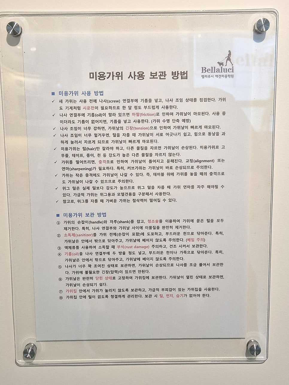 평촌 강아지미용학원 원데이 클래스 후기 — 사진 12