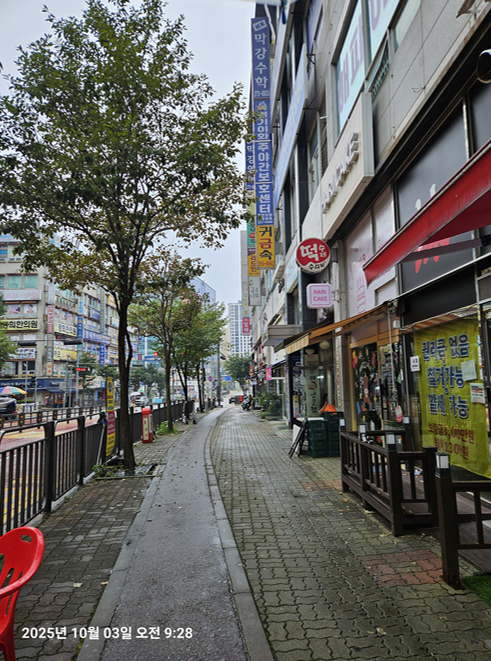 수리치 대표 사진