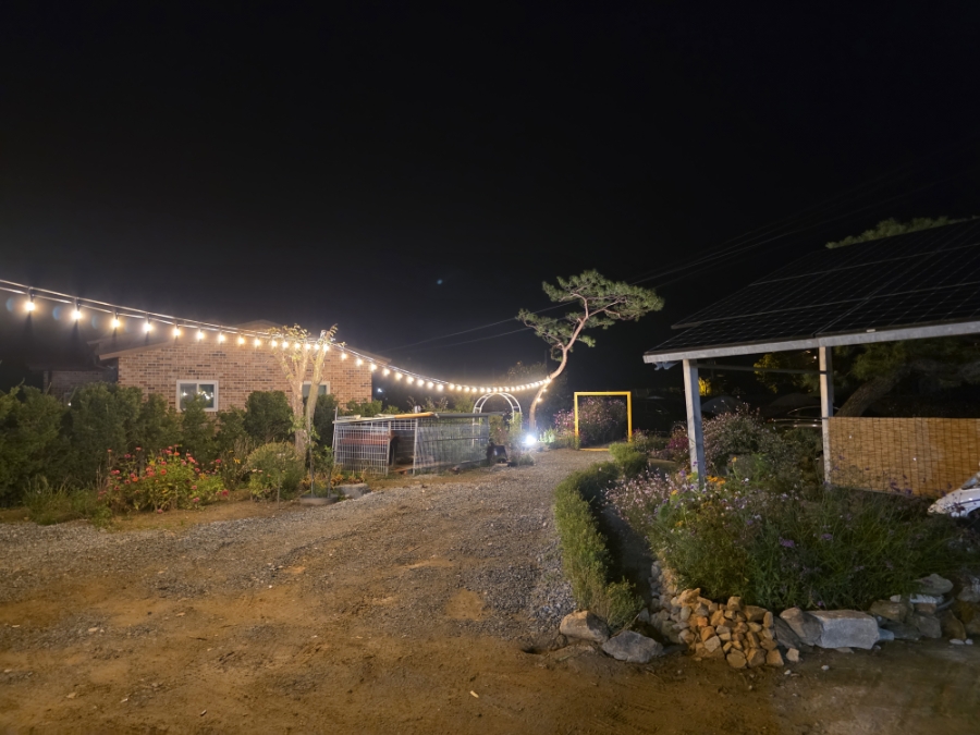 대성수산 사진 2