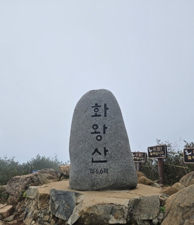 Hwa Wang Mountain Eulalia Field