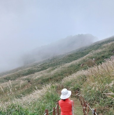 Hwa Wang Mountain Eulalia Field