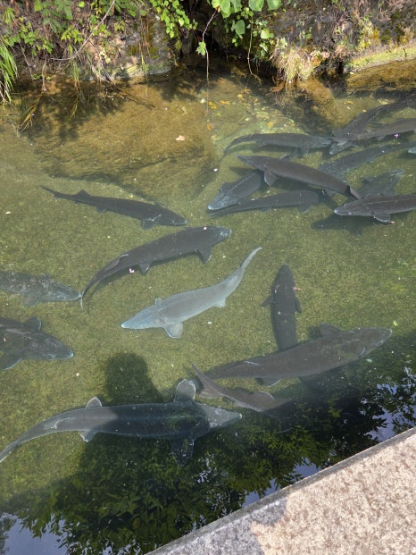 옥동양어장횟집 이미지