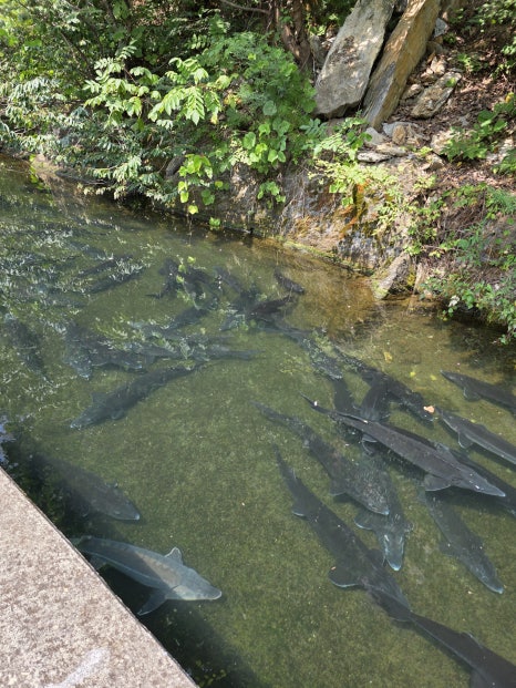 옥동양어장횟집 이미지