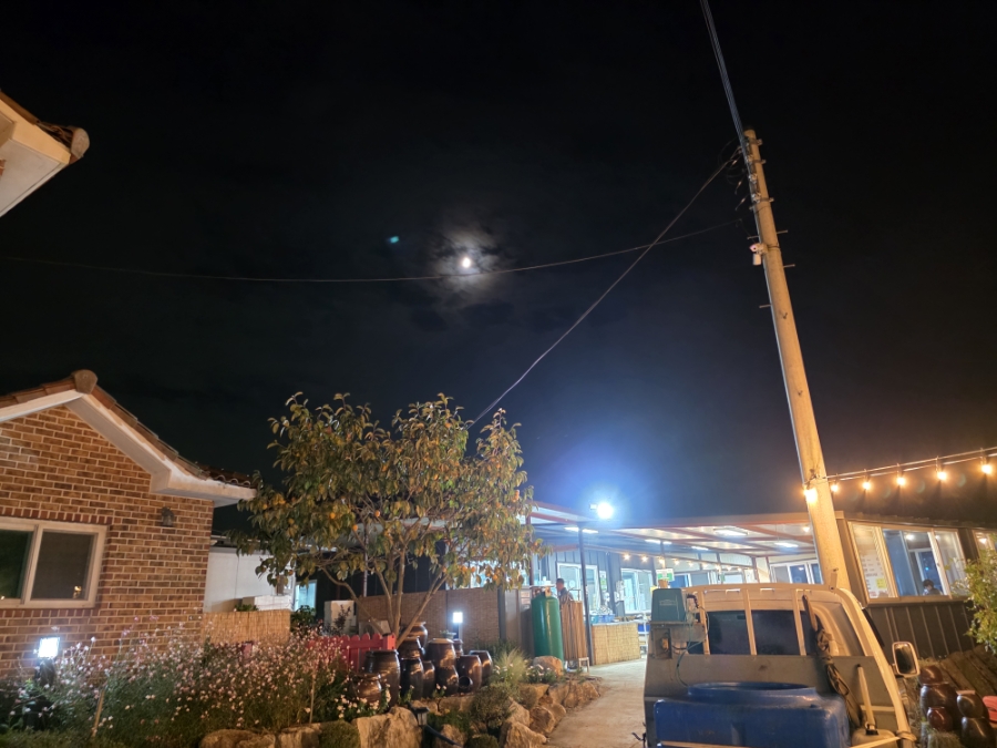 대성수산 사진 3
