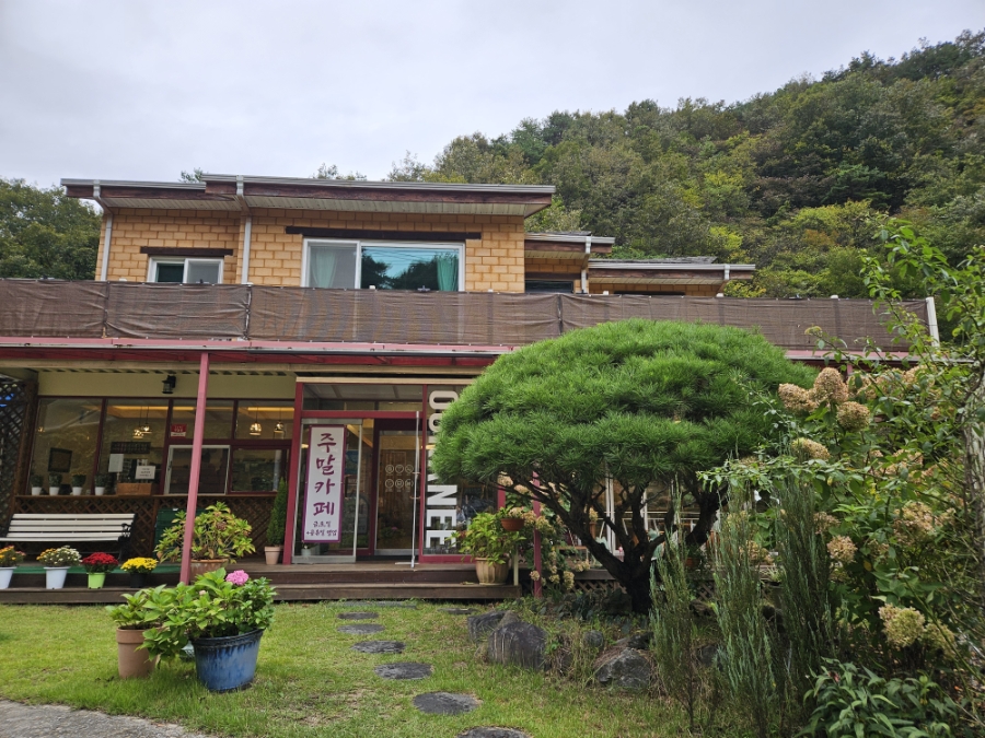 오그란이단팥빵 이미지