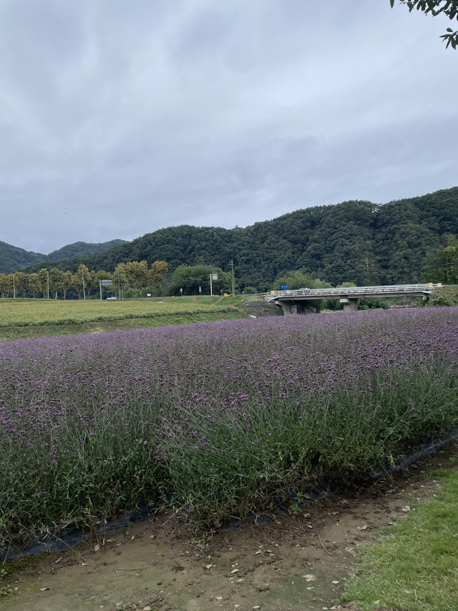 훈할머니묵집 이미지