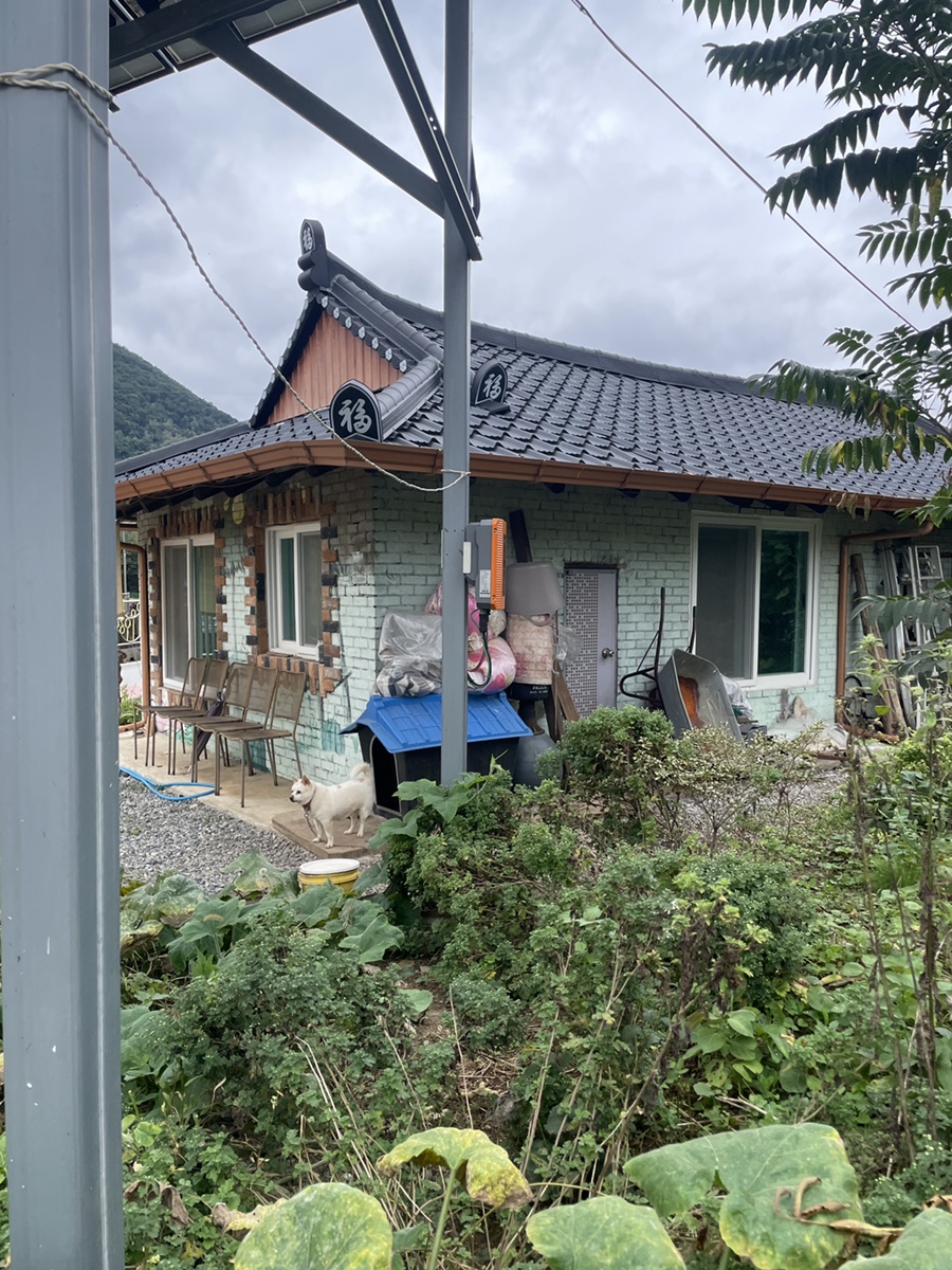 훈할머니묵집 이미지