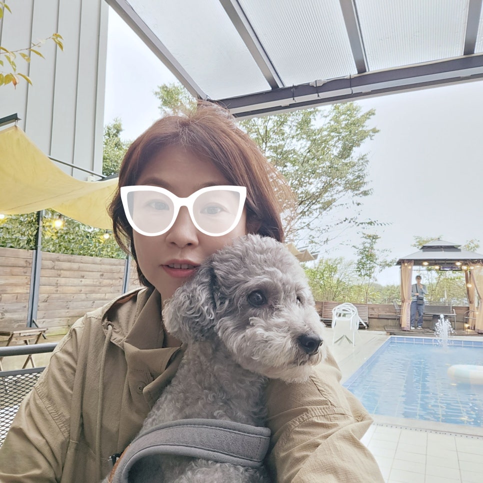 구리 애견동반 브런치 카페 앤아더, 강아지와 즐기는 여유 — 사진 6