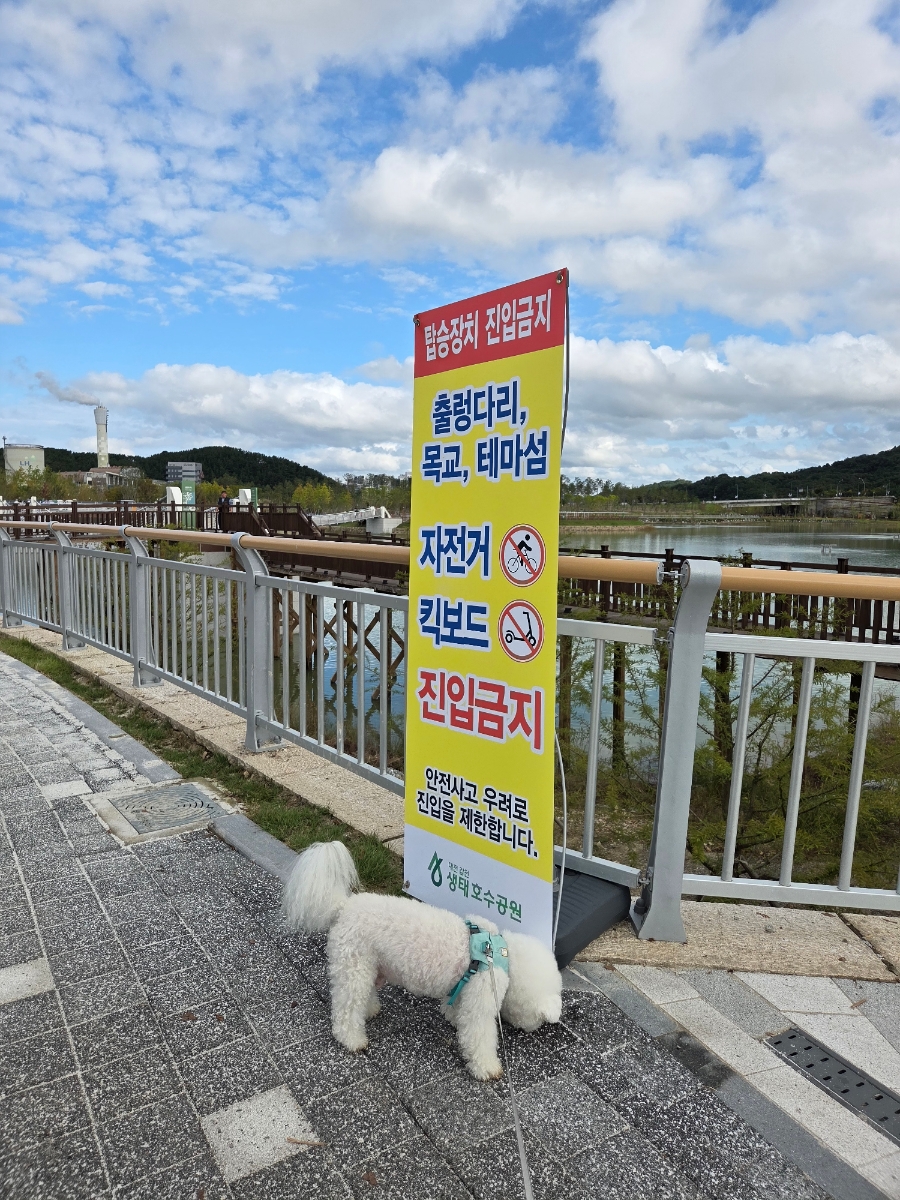 대전 갑천생태호수공원 반려견 피크닉 완벽 가이드 — 사진 8