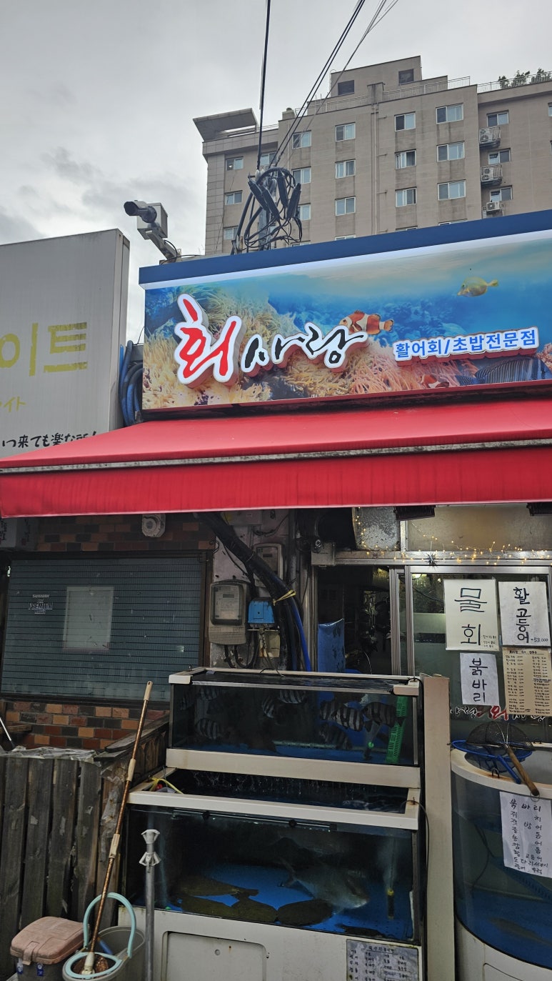 회사랑 사진 2