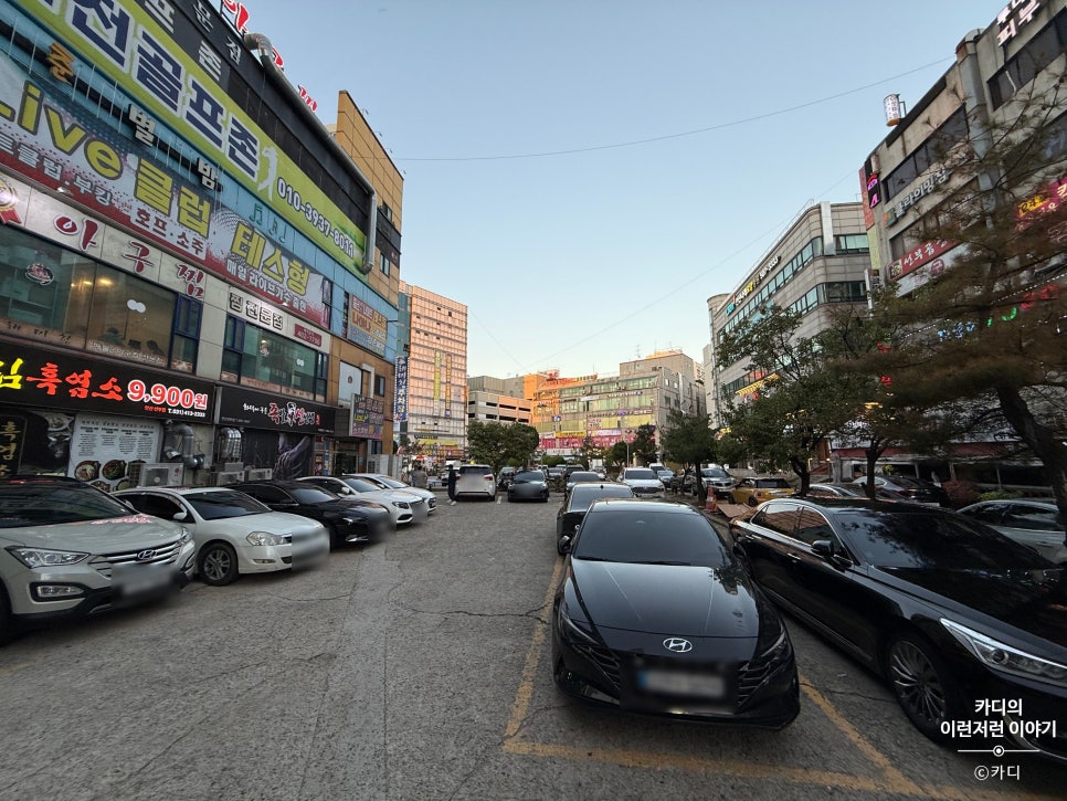 본가해미청 사진 4