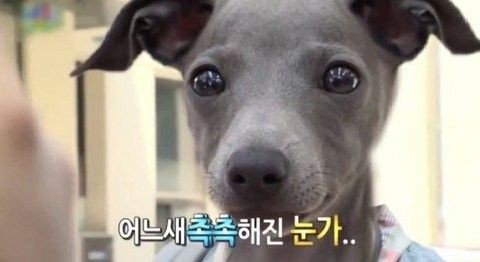 행복한 하루여따 : 네이버 블로그
