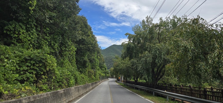 구단양순두부 이미지