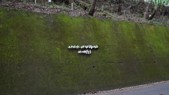 이끼터널 이미지