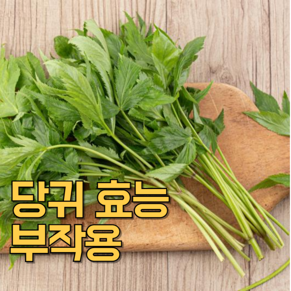 당귀 효능 부작용 당귀잎 효능 : 네이버 블로그