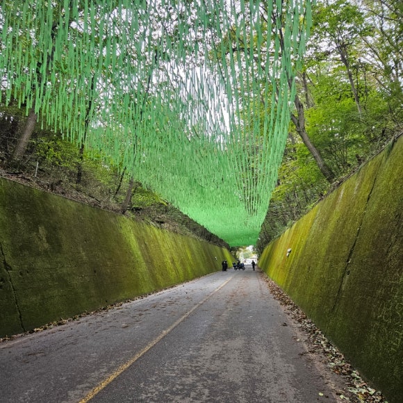 이끼터널 이미지