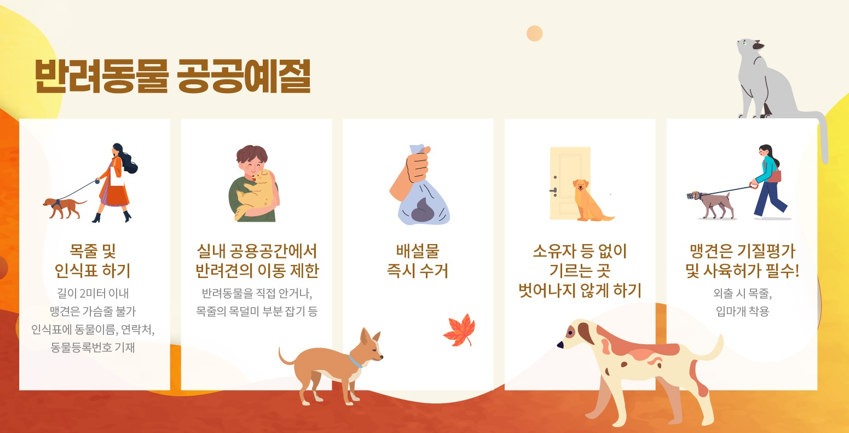 브로콜리 지역정보 관련 사진 2