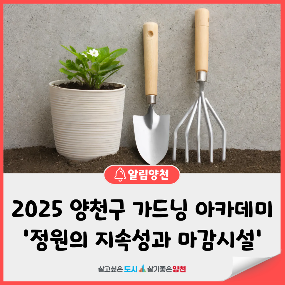 브로콜리 지역정보 관련 사진 2