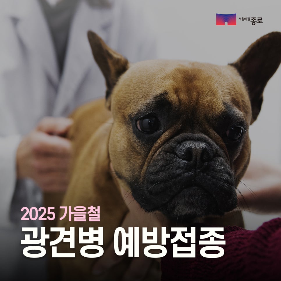 브로콜리 지역정보 관련 사진 1