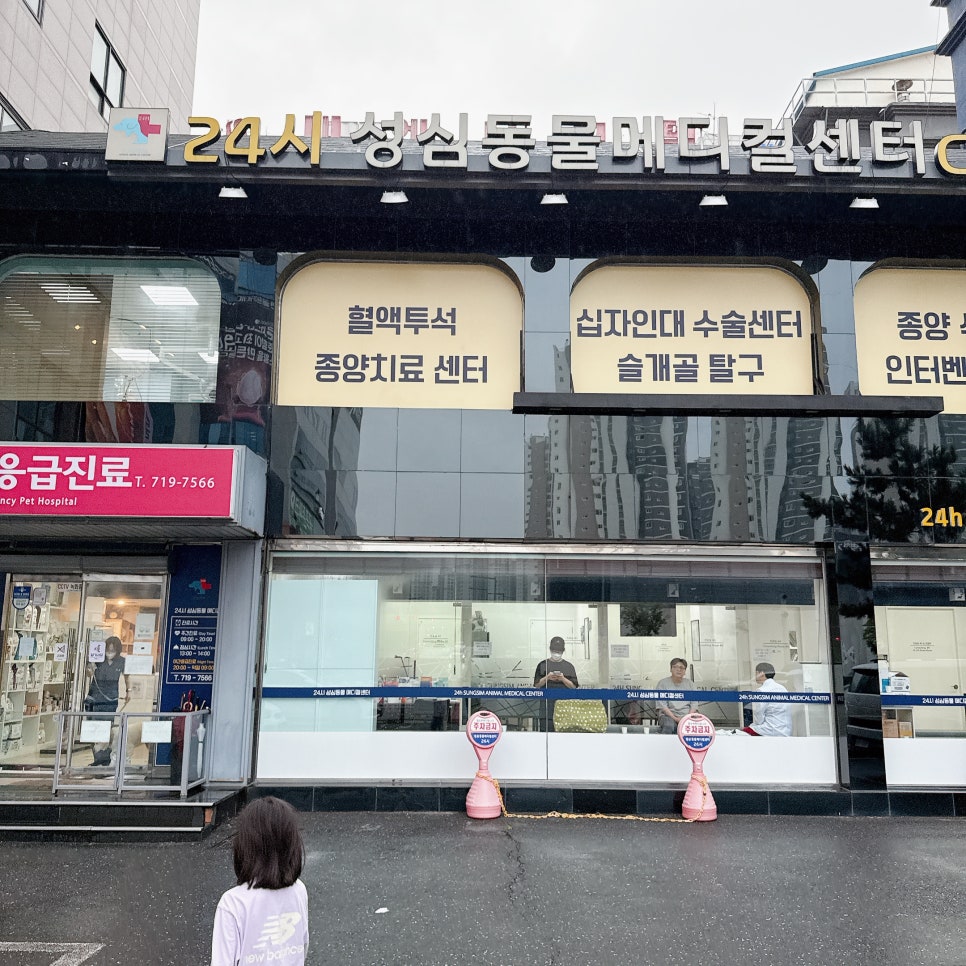 강아지 농피증, 대전 24시 동물병원 진료 후기 — 사진 3