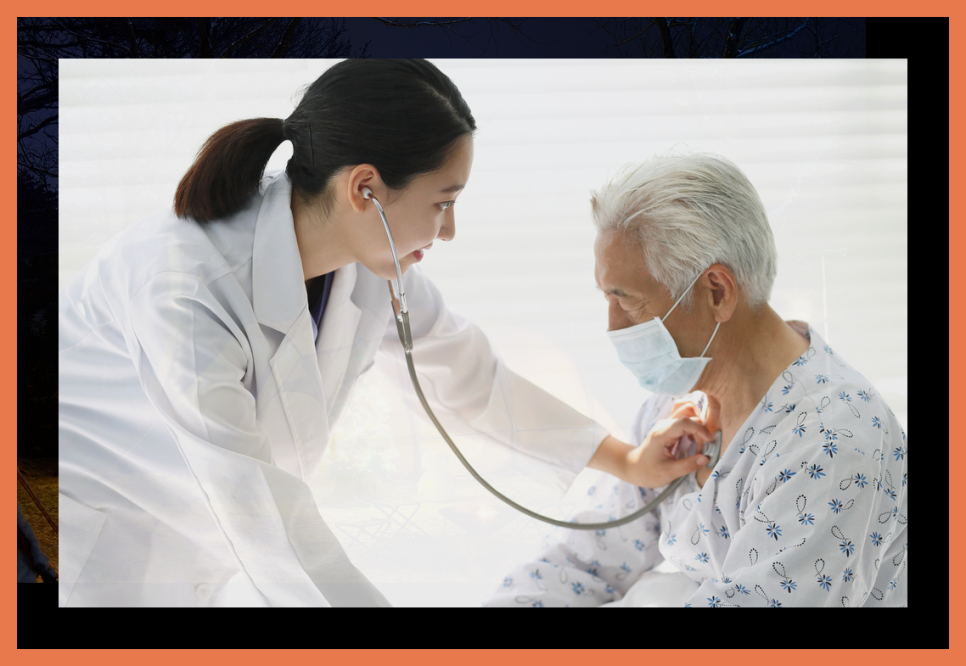 자주고름 이미지