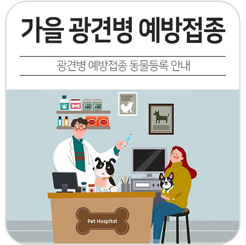 브로콜리 지역정보 관련 사진 1