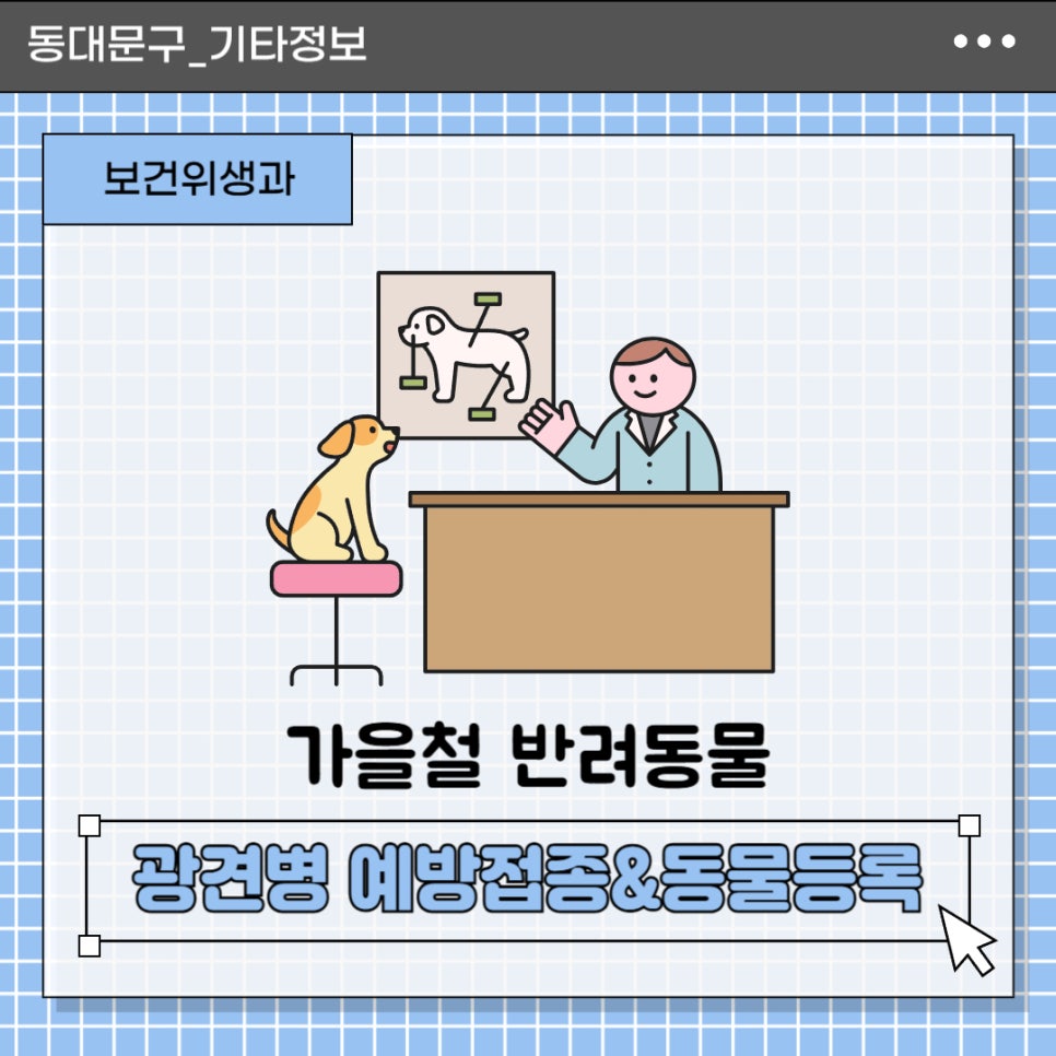 브로콜리 지역정보 관련 사진 2