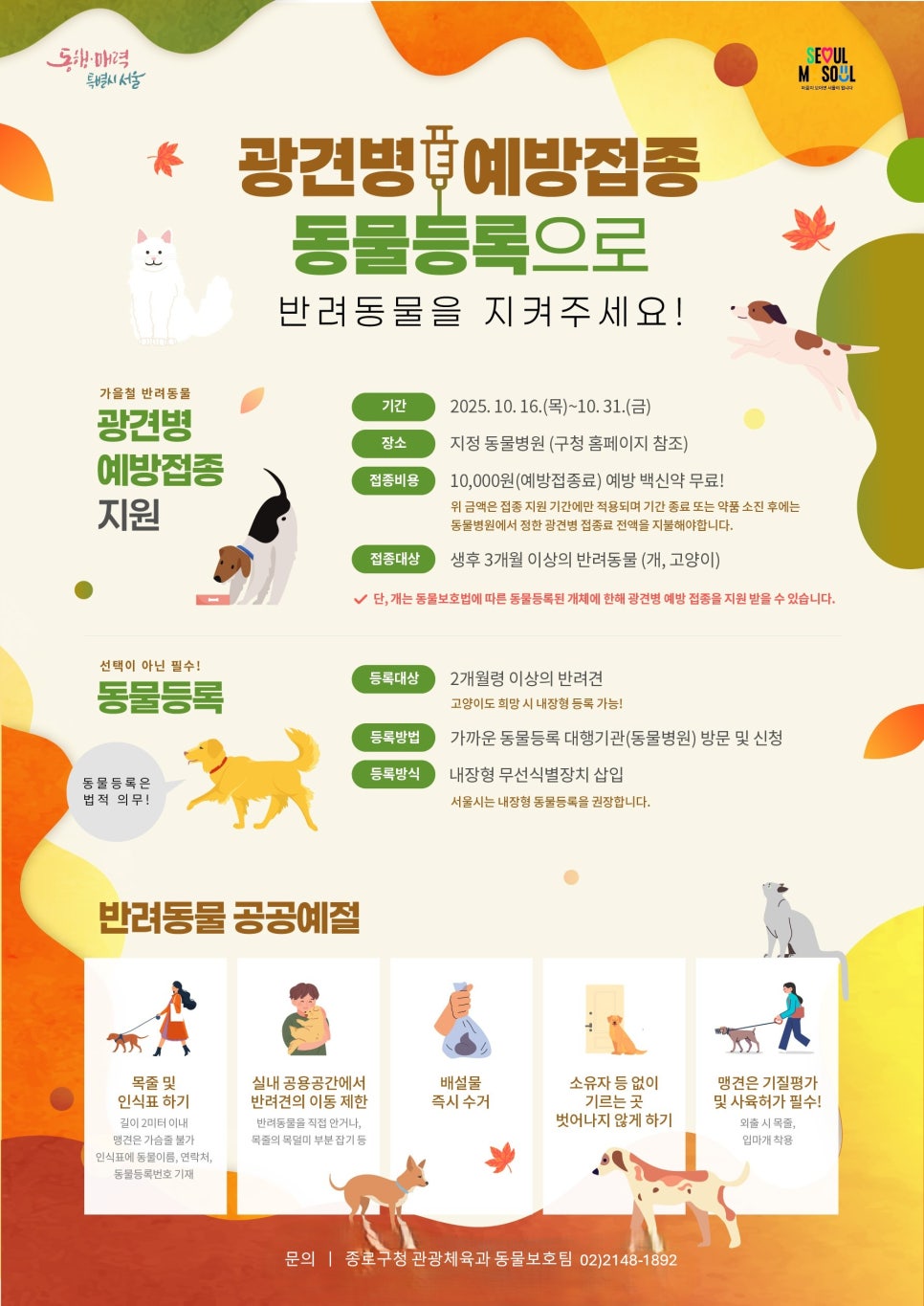브로콜리 지역정보 관련 사진 2