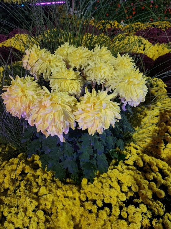 자연식당 이미지