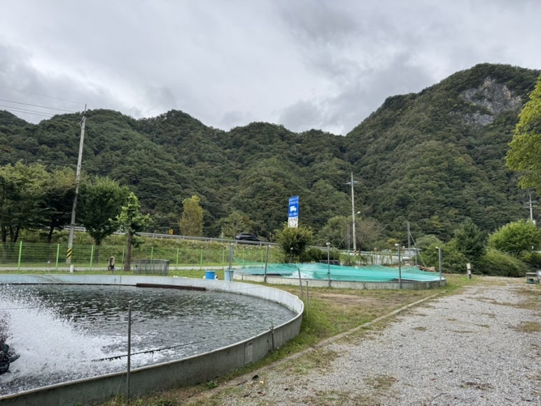 옥동양어장횟집 이미지