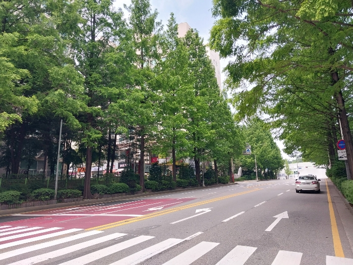 네이버블로그